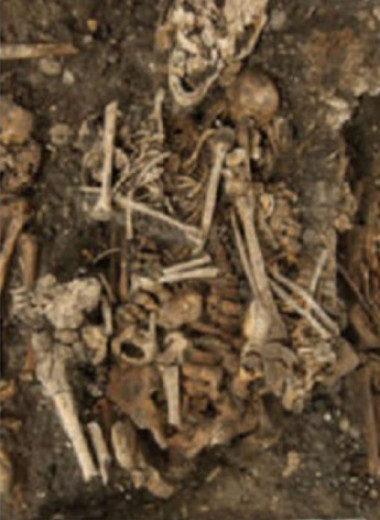 Под базельским концертным залом нашли жертв последней швейцарской чумы