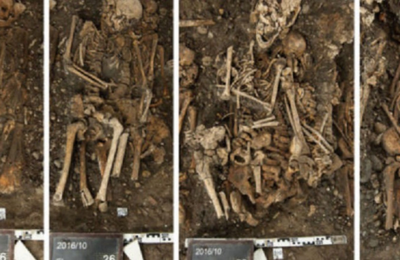 Под базельским концертным залом нашли жертв последней швейцарской чумы