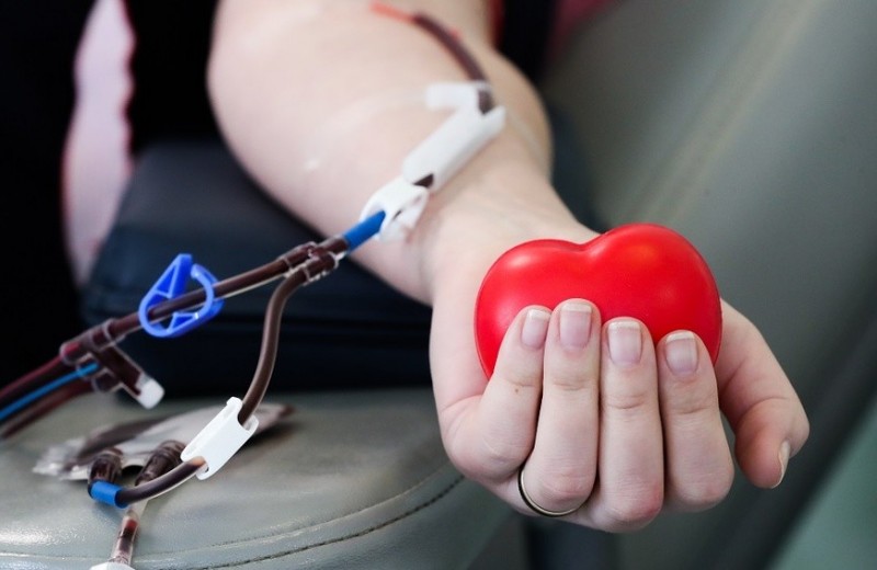 «Я донор, и это очень классно»: предприниматели о том, почему они регулярно сдают кровь