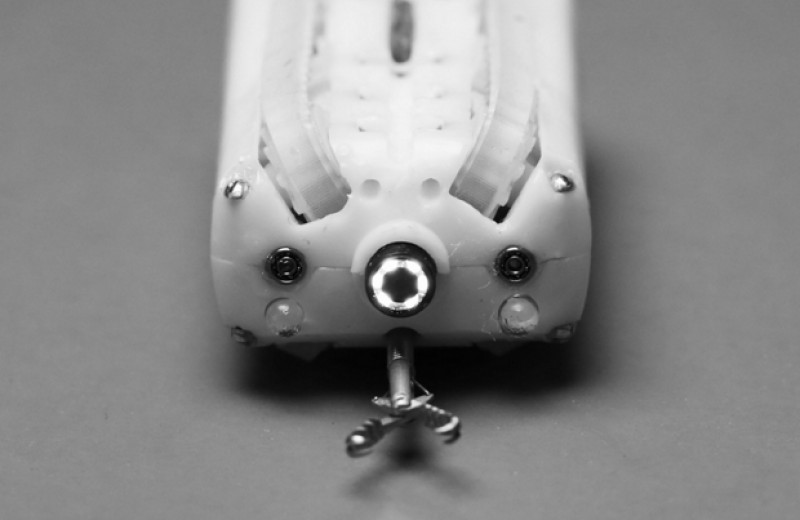 Робот-колоноскоп с камерой и щипцами прополз по свиному кишечнику
