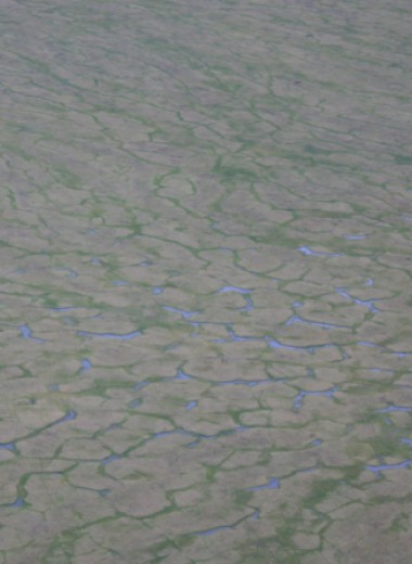 Ученые нанесли на карту еще миллион квадратных километров торфяников