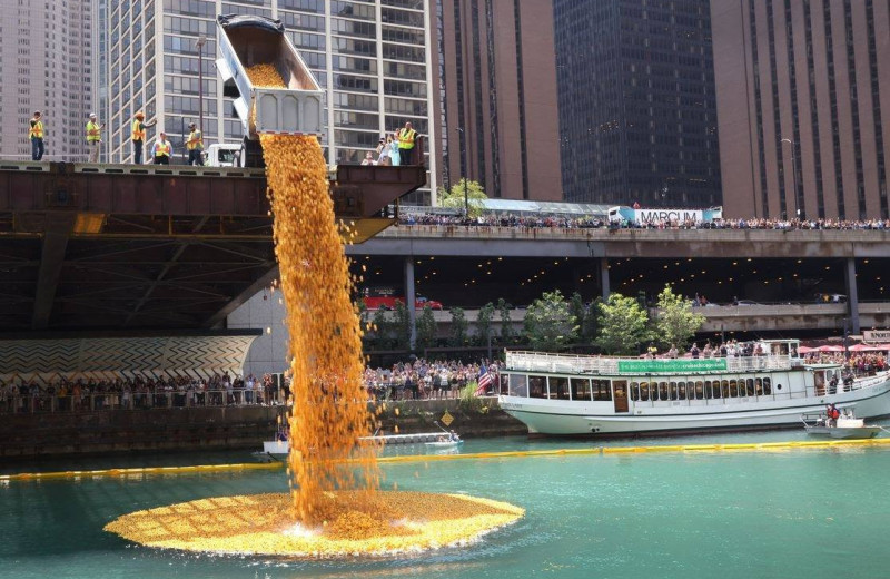 В Чикаго соревновались 70 000 резиновых уток: видео