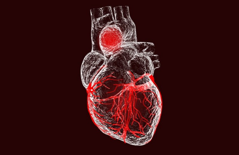 Дела сердечные: что такое кардио-чекап и кому он нужен