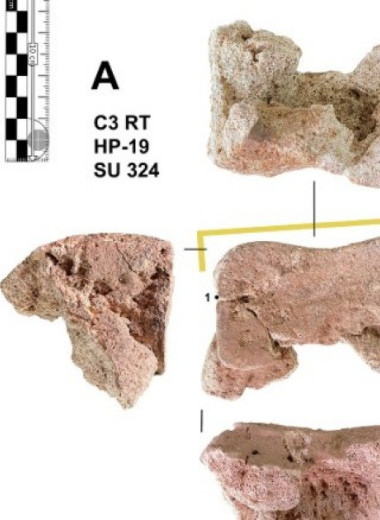 Слоновую кость из Испании связали с армией Ганнибала