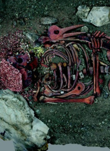 Кроманьонец прожил двое или трое суток после нападения медведя