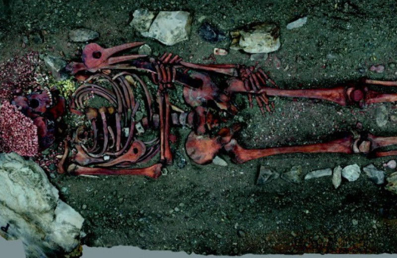 Кроманьонец прожил двое или трое суток после нападения медведя