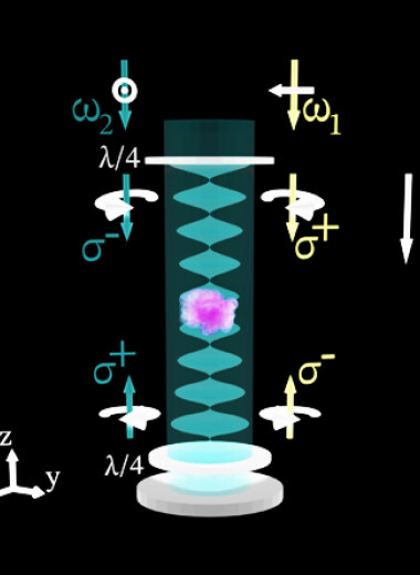 Физики разобрались с квазибрэгговской дифракцией атомного конденсата на оптических решетках