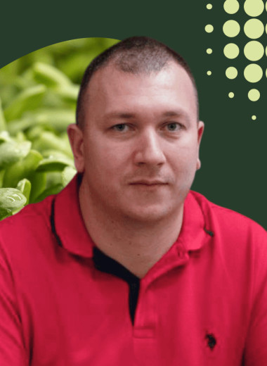 «Ваши идеальные помидоры никому не нужны»: 5 бизнес-ошибок владельца тепличного хозяйства