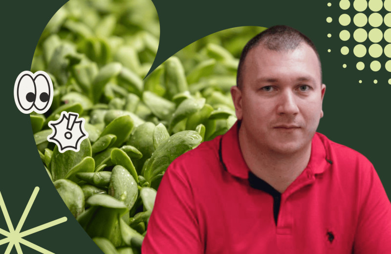 «Ваши идеальные помидоры никому не нужны»: 5 бизнес-ошибок владельца тепличного хозяйства