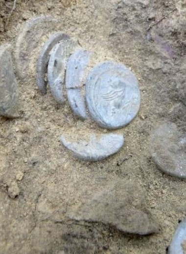 Волшебное сокровище? Небольшой клад с тысячелетними монетами нашли в лесу Италии