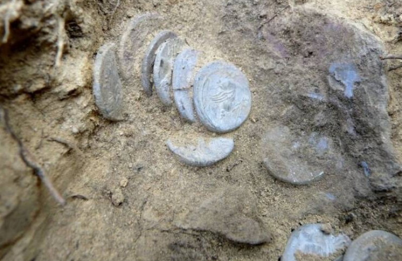 Волшебное сокровище? Небольшой клад с тысячелетними монетами нашли в лесу Италии