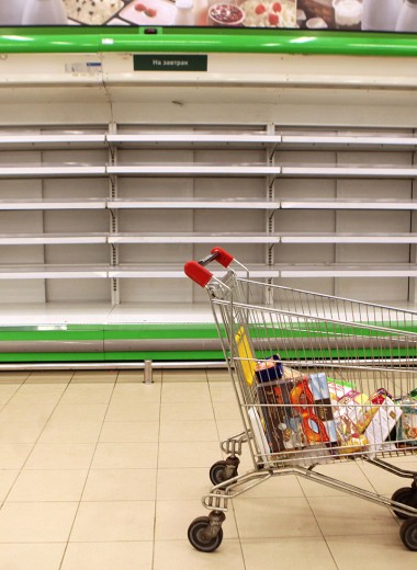 Экономисты из РАНХиГС призвали ослабить продуктовое эмбарго в России