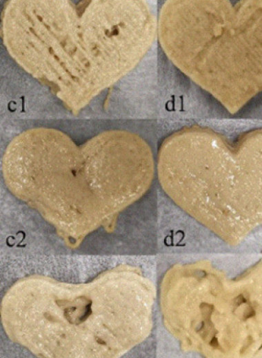 Какао-масло помогло напечатать растительное мясо на 3D-принтере
