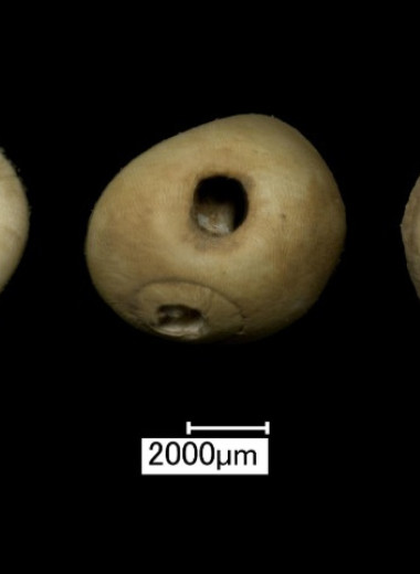 Трехлетнюю девочку похоронили в пещере 11 тысяч лет назад