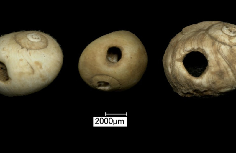 Трехлетнюю девочку похоронили в пещере 11 тысяч лет назад