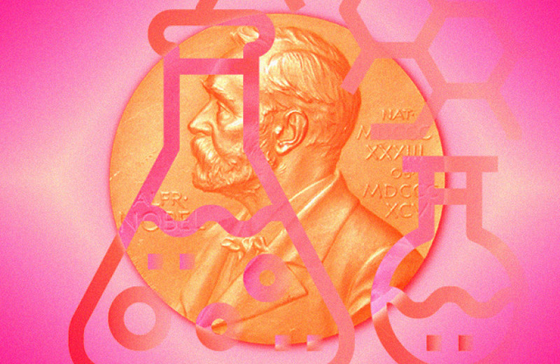 Нобелевскую премию по химии присудили за метод редактирования генома