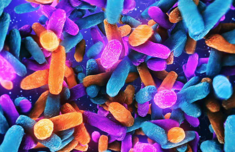 Человек и его бактерии: что нужно знать о кишечной микрофлоре