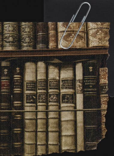Труды Ньютона, магия и секс: кто и зачем крадет книги из библиотек — и что предпочитают воры?