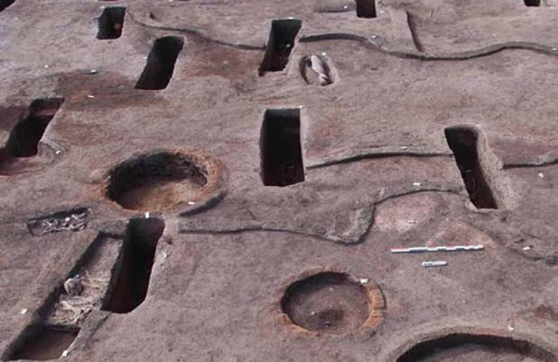 На севере Египта нашли 110 погребений додинастического и гиксосского периодов