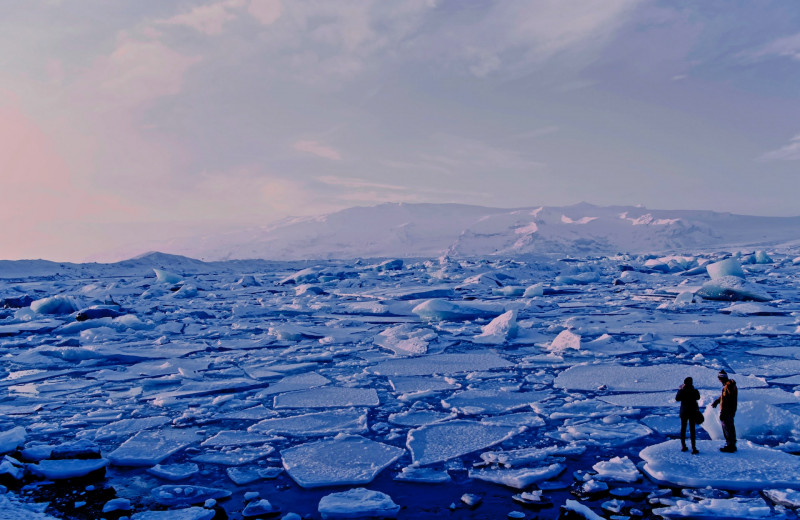 К 2100 году половина ледников планеты может растаять. Будет апокалипсис?