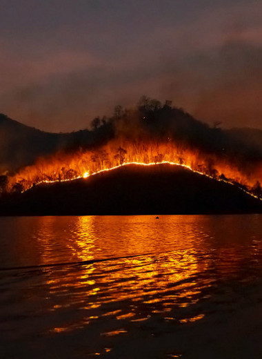 Россия в огне: почему лесные пожары в 2021 году бьют рекорды?