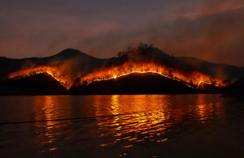 Россия в огне: почему лесные пожары в 2021 году бьют рекорды?