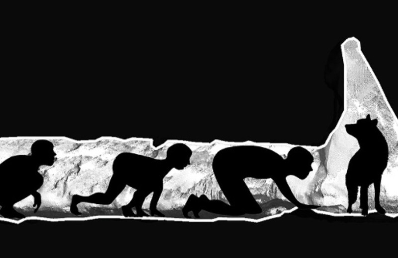 Группу палеолитических людей в пещере сопроводила большая собака или волк