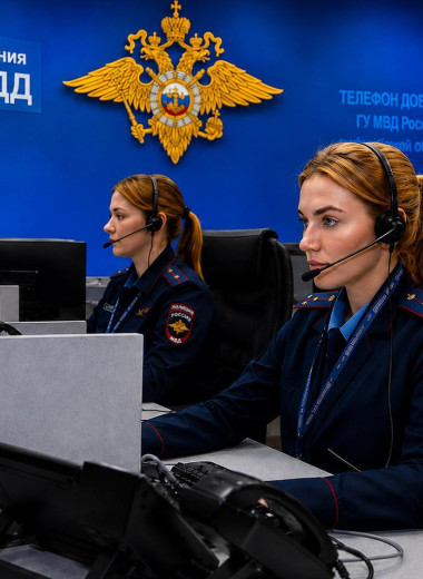 Куда и в каких случаях звонить на телефон горячей линии ГИБДД