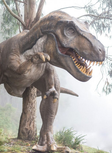 У Tyrannosaurus rex были уникально устроены ноги: они позволяли быстро ускоряться и долго бежать