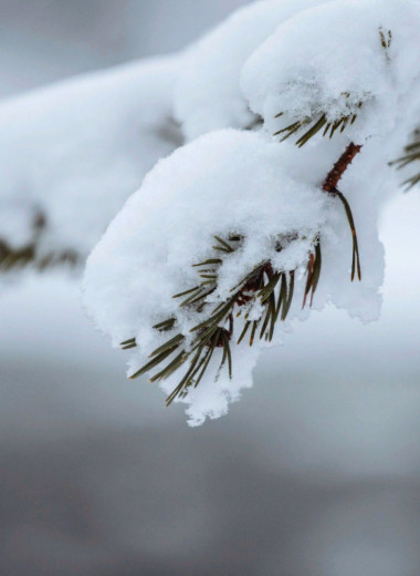 10 удивительных фактов о снеге — вы будете поражены!