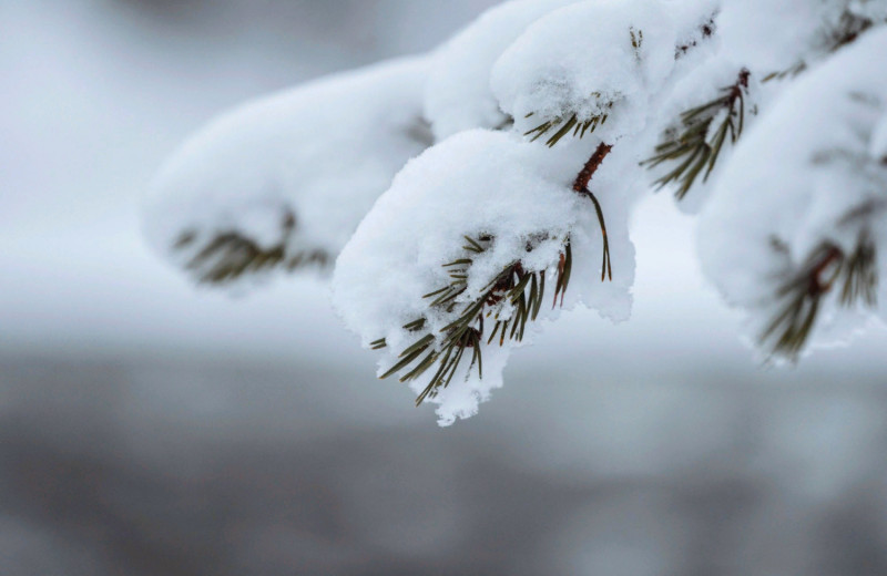10 удивительных фактов о снеге — вы будете поражены!