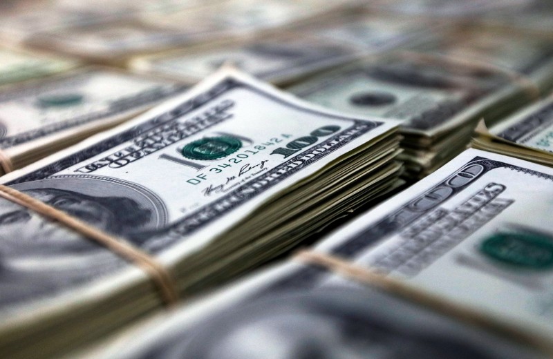 Подушка-невидимка: зачем Банку России 390 тонн наличной валюты