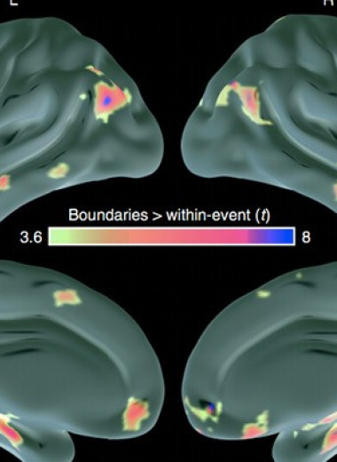 Способность мозга определять границы событий изменилась с возрастом