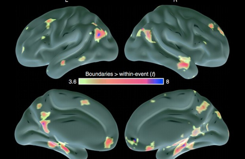 Способность мозга определять границы событий изменилась с возрастом