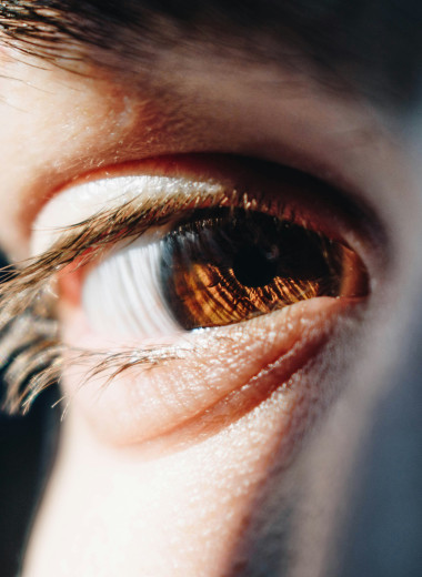 Живая видео-камера: как устроен человеческий глаз