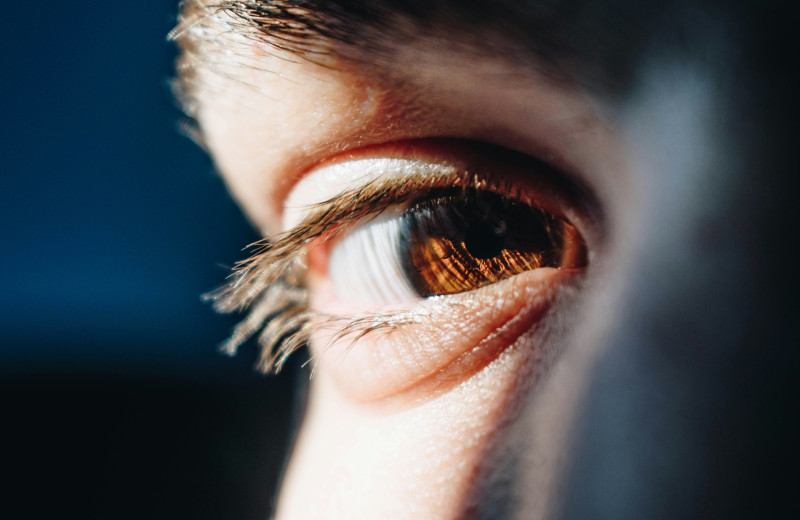 Живая видео-камера: как устроен человеческий глаз