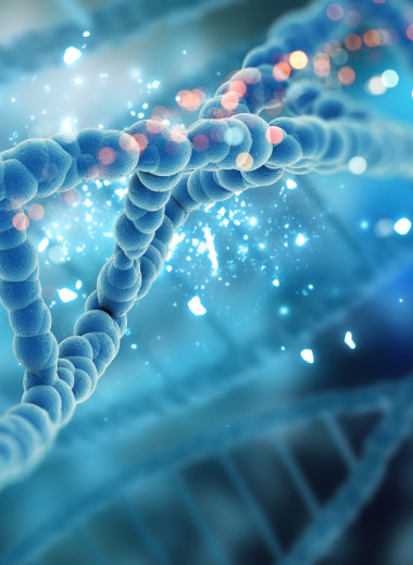 Гипотеза РНК-мира: могла ли жизнь на Земле начаться с одной молекулы