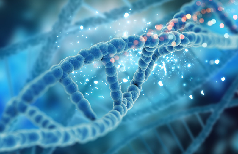 Гипотеза РНК-мира: могла ли жизнь на Земле начаться с одной молекулы