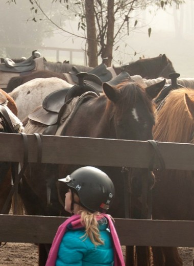 Ольга Мягкова: Как прийти в конный спорт. 5 советов родителям