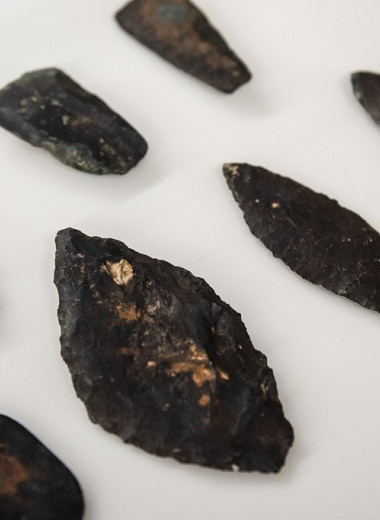 Топи на острове Няша приоткрыли тайны неолита