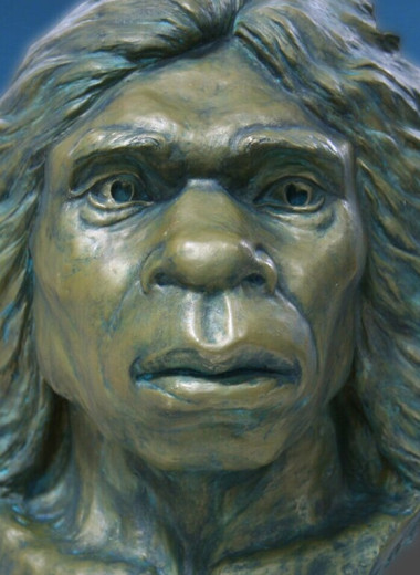 Предки человека пришли из Африки в Азию 1,7 миллиона лет назад