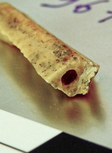 Палеогенетики опубликовали высококачественный геном алтайского неандертальца