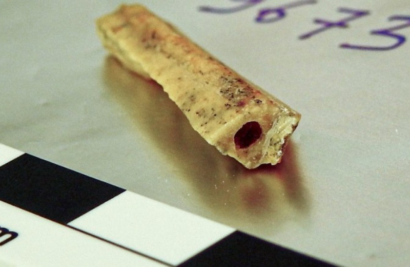 Палеогенетики опубликовали высококачественный геном алтайского неандертальца