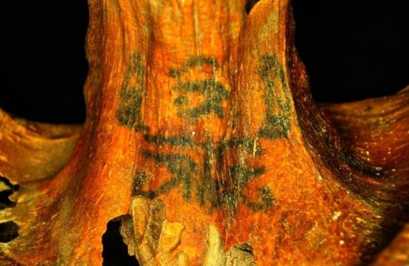 На телах египетских мумий обнаружены десятки загадочных татуировок