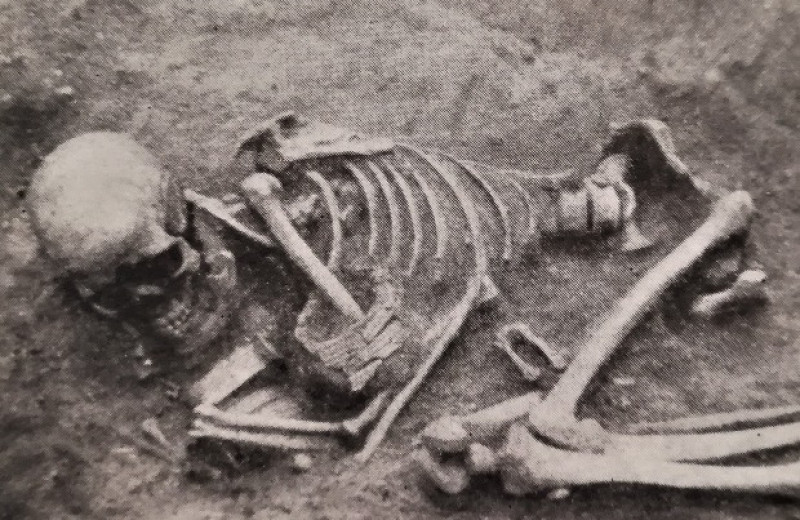 Жители стоянки Вучедоль эпохи ранней бронзы пострадали в детстве от поротического гиперостаза