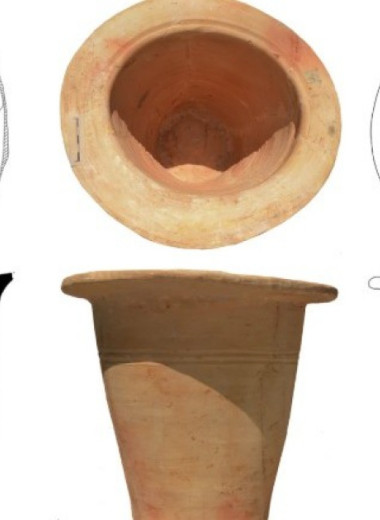 В римских ночных вазах нашли редких паразитов