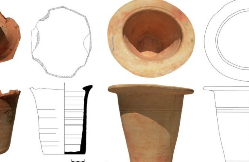 В римских ночных вазах нашли редких паразитов