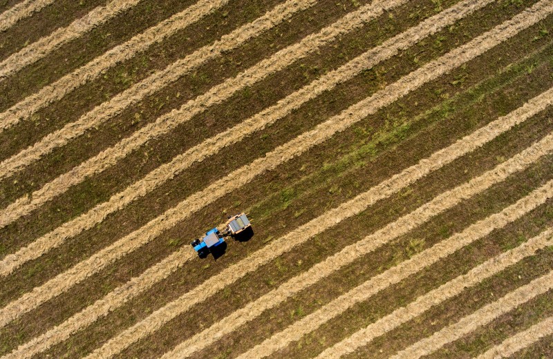 Экономисты указали на завышение статистики по сельскому хозяйству в России