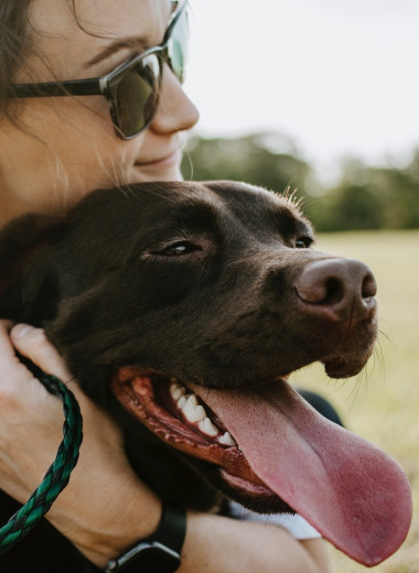 Подберите себе собаку по вашему темпераменту: пять пород собак — пять типов личности