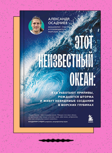 «Этот неизвестный океан: как работают приливы, рождаются шторма и живут невидимые создания в морских глубинах»